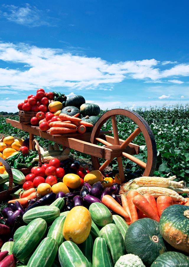 新規落地，守護舌尖安全——孫海山律師解讀《食用農產品市場銷售質量安全監督管理辦法》