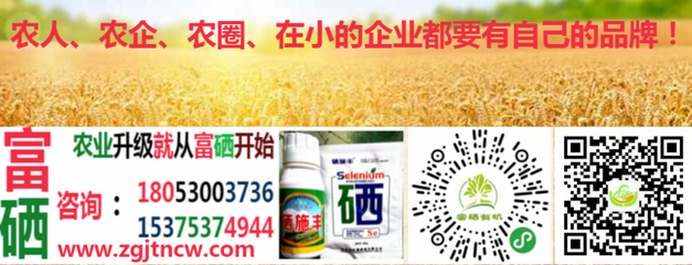 農業農村部實施新規，全國食用農產品全面推行合格證制度